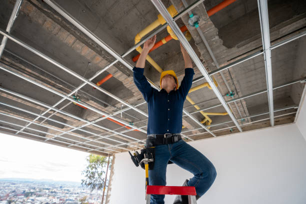 Best Best Plumbers Near Me  in Clever, MO