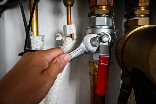 Best 24-Hour Plumber Near Me  in Clever, MO
